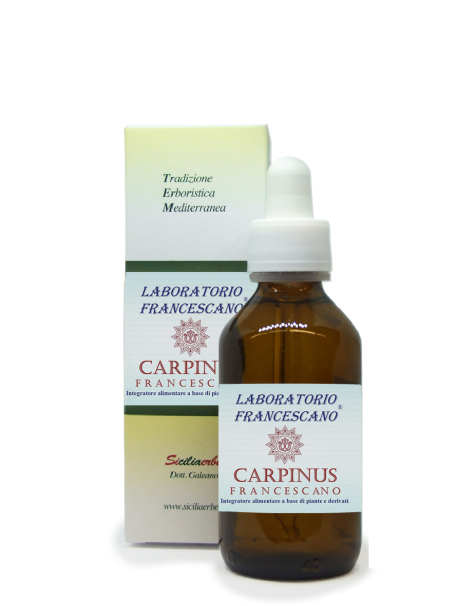 Carpinus Francescano