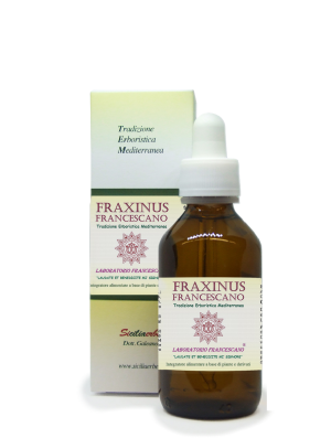 Fraxinus Francescano