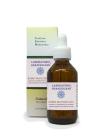 Rubus Francescano