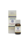 Cannella Ceylon foglie