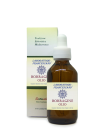 Olio di Borragine