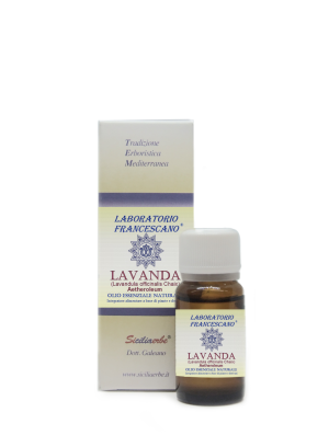 Lavanda