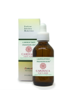 Cardiaca