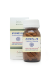 Boswellia in capsule