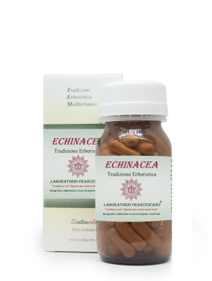 Echinacea