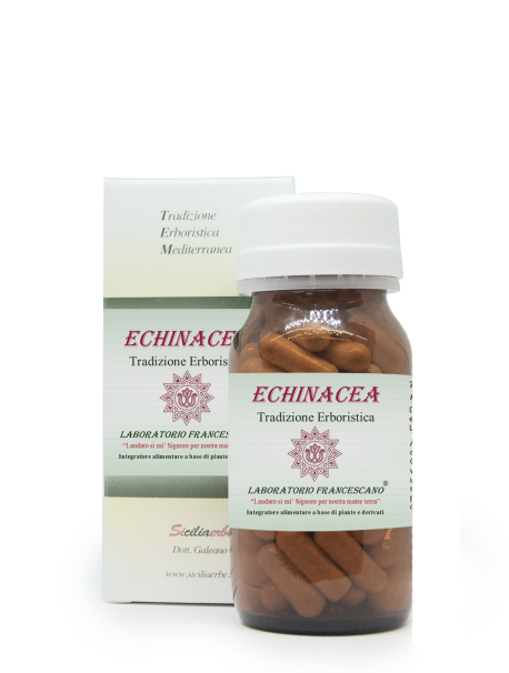 Echinacea