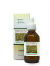 Poterium