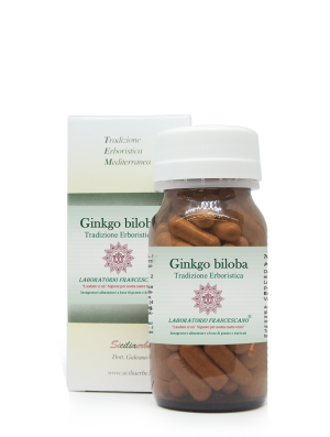 Ginkgo biloba