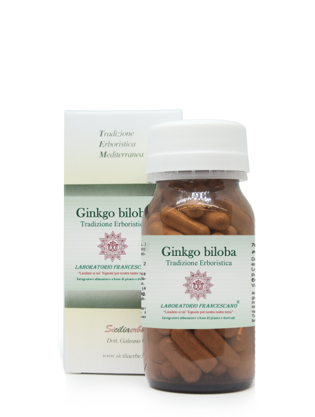 Ginkgo biloba