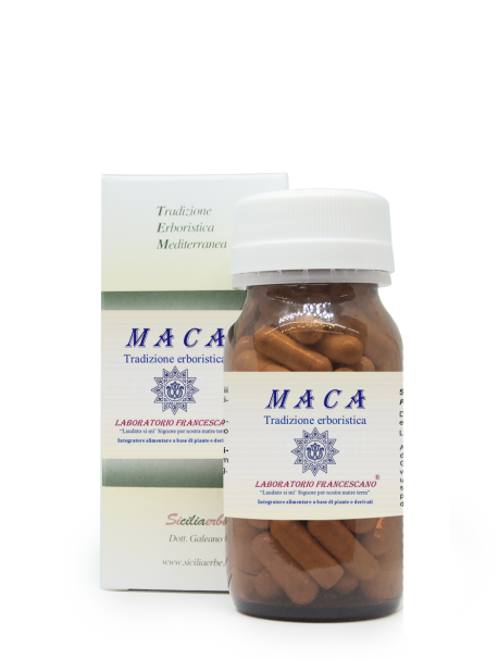 Maca