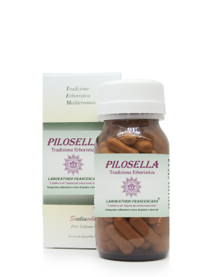 Pilosella