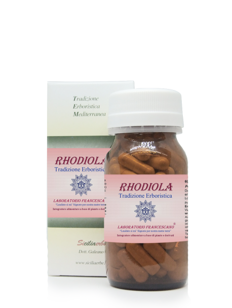 Rhodiola